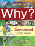 Why ? Environment
