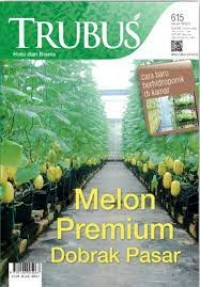 Melon Premium Dobrak Pasar